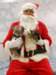 santapaws2012_0421_11_small.jpg