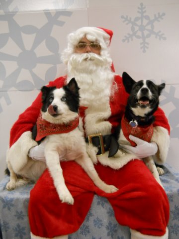 santapaws2012_0422_01.jpg