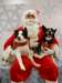 santapaws2012_0422_01_small.jpg