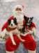 santapaws2012_0422_02_small.jpg