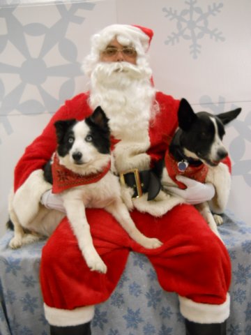 santapaws2012_0422_03.jpg