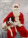 santapaws2012_0422_05_small.jpg