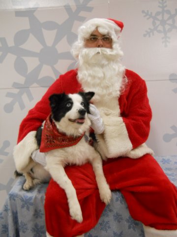santapaws2012_0422_06.jpg