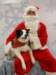 santapaws2012_0422_06_small.jpg