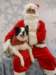 santapaws2012_0422_07_small.jpg
