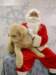 santapaws2012_0425_01_small.jpg