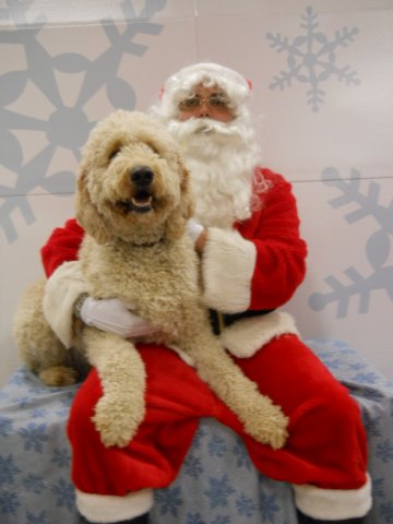santapaws2012_0425_02.jpg