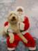santapaws2012_0425_02_small.jpg