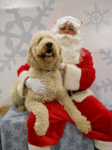 santapaws2012_0425_05.jpg