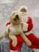 santapaws2012_0425_05_small.jpg