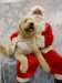 santapaws2012_0425_08_small.jpg