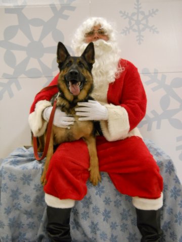 santapaws2012_0426_02.jpg