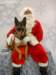 santapaws2012_0426_03_small.jpg