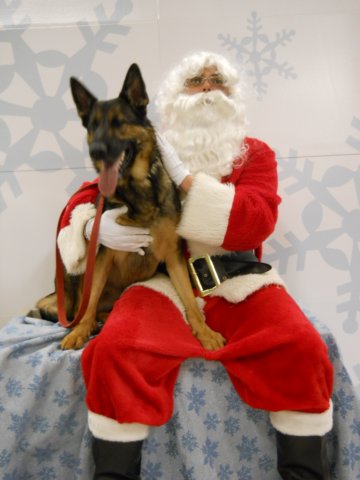 santapaws2012_0426_05.jpg