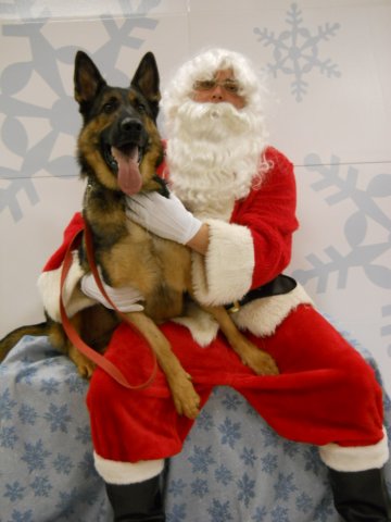 santapaws2012_0426_06.jpg