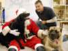 santapaws2012_0427_01_small.jpg