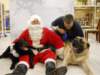 santapaws2012_0427_04_small.jpg