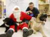 santapaws2012_0427_07_small.jpg