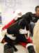 santapaws2012_0427_08_small.jpg