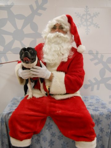 santapaws2012_0428_01.jpg