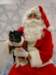 santapaws2012_0428_03_small.jpg