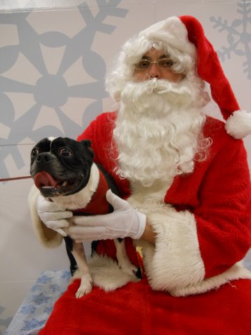 santapaws2012_0428_04.jpg