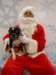 santapaws2012_0428_08_small.jpg