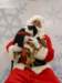 santapaws2012_0428_10_small.jpg