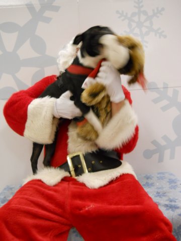 santapaws2012_0428_11.jpg