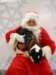 santapaws2012_0428_14_small.jpg