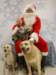 santapaws2012_0429_02_small.jpg