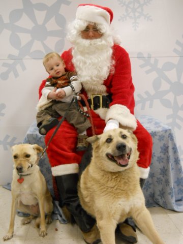 santapaws2012_0429_05.jpg
