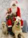santapaws2012_0429_05_small.jpg
