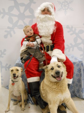 santapaws2012_0429_06.jpg