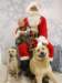 santapaws2012_0429_06_small.jpg