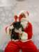santapaws2012_0430_04_small.jpg