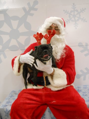 santapaws2012_0430_05.jpg