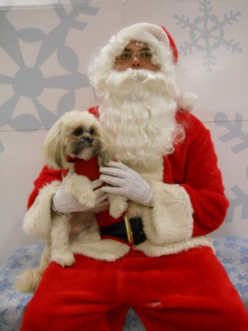 santapaws2012_0431_02.jpg