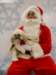 santapaws2012_0431_04_small.jpg
