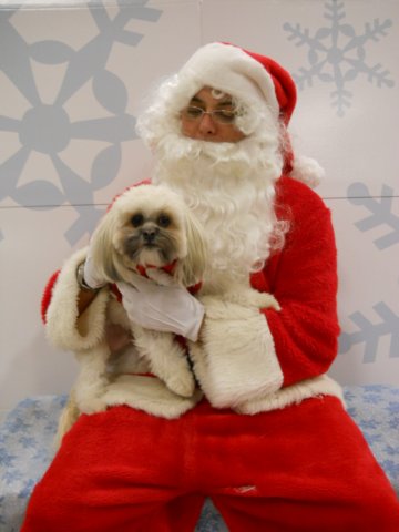 santapaws2012_0431_05.jpg