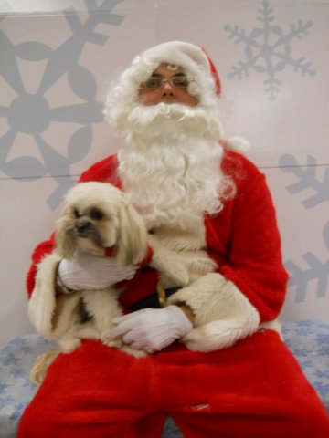 santapaws2012_0431_06.jpg
