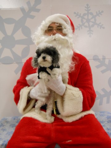 santapaws2012_0432_01.jpg