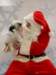 santapaws2012_0432_03_small.jpg