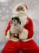 santapaws2012_0432_05_small.jpg