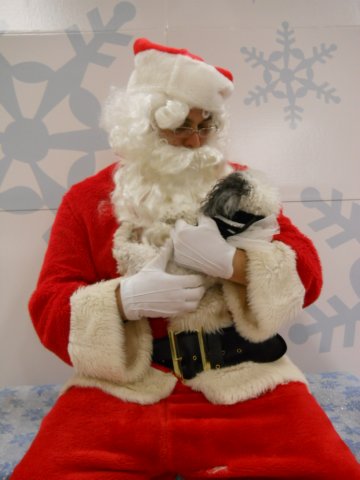santapaws2012_0432_06.jpg