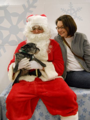 santapaws2012_0433_04.jpg