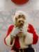 santapaws2012_0434_02_small.jpg