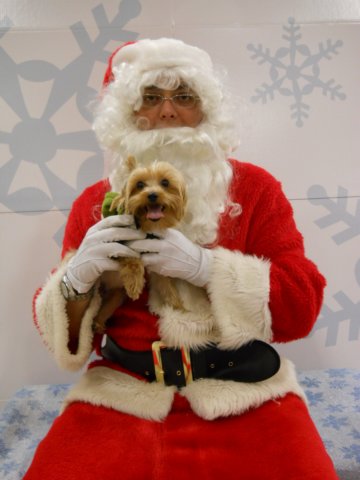 santapaws2012_0434_05.jpg