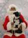 santapaws2012_0435_02_small.jpg