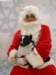santapaws2012_0435_05_small.jpg